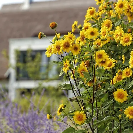 Kapitaensweg 07 Karlshagen