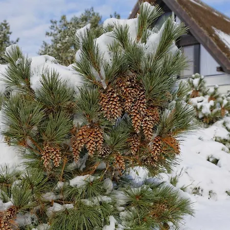 Kapitaensweg 07 Nyaraló